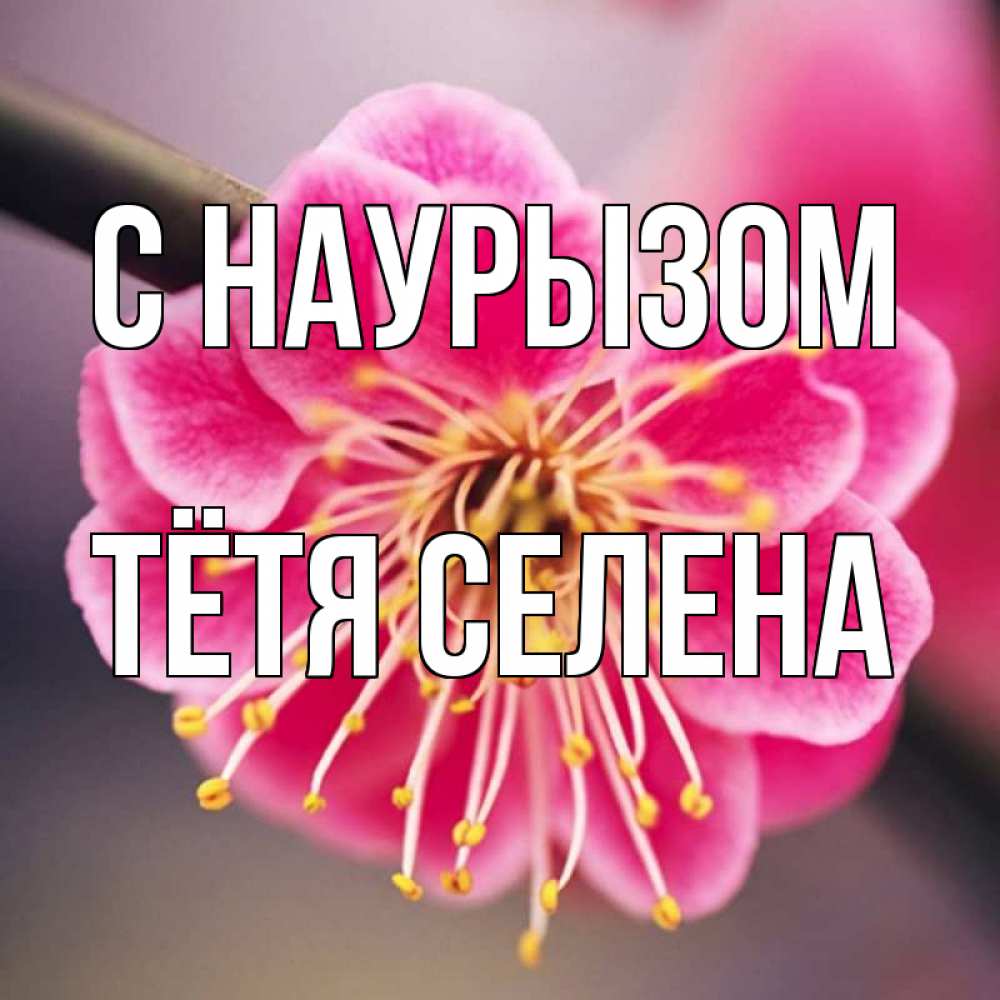 Открытка на каждый день с именем, Тётя-Селена С наурызом цветы Прикольная открытка с пожеланием онлайн скачать бесплатно 