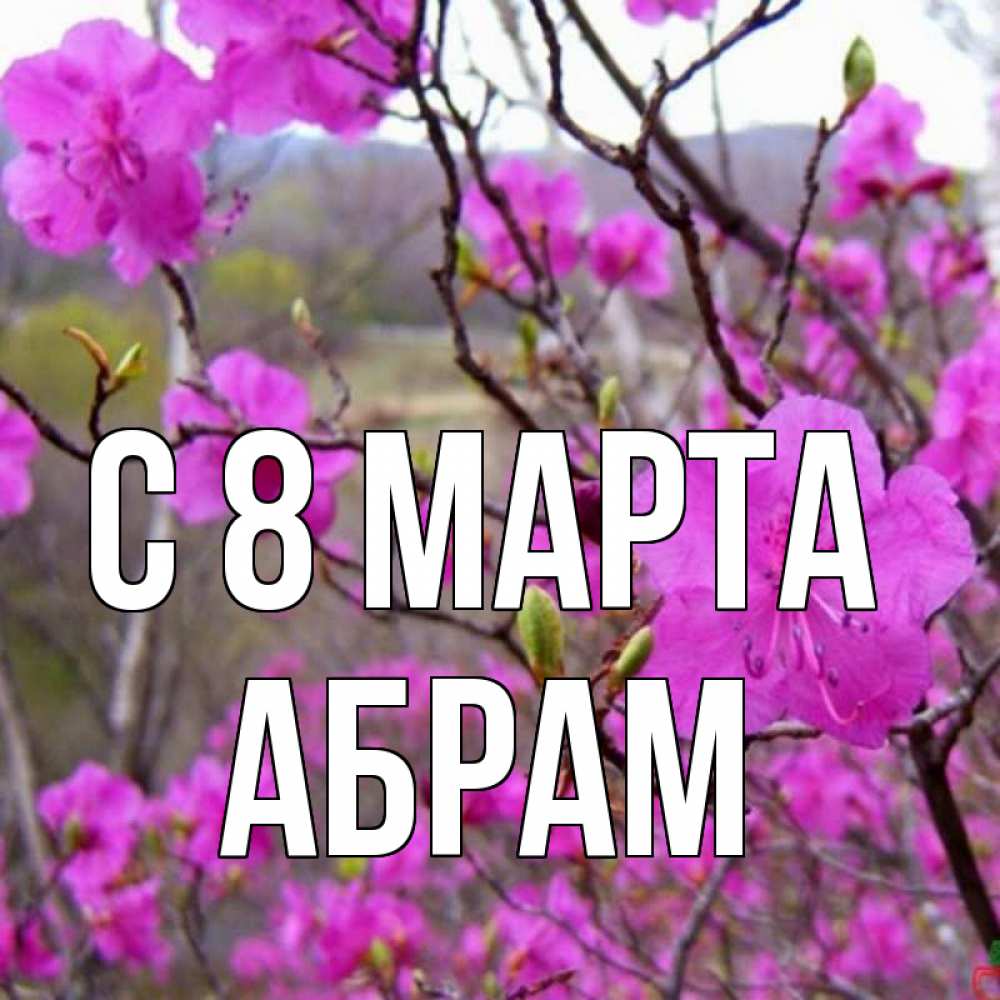 Открытка на каждый день с именем, Абрам С 8 МАРТА международный женский день Прикольная открытка с пожеланием онлайн скачать бесплатно 
