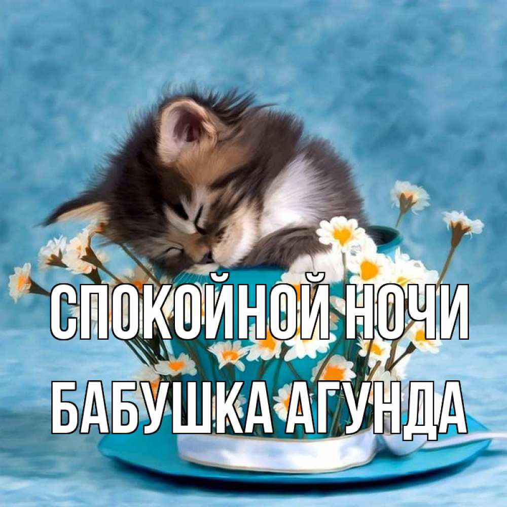 Открытка на каждый день с именем, Бабушка-Агунда Спокойной ночи котенок спит в кружке с блюдцем Прикольная открытка с пожеланием онлайн скачать бесплатно 