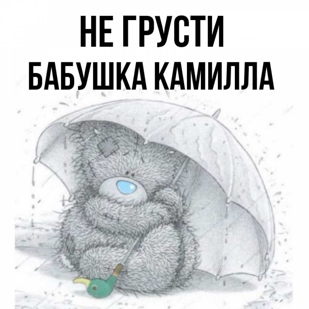 Открытка на каждый день с именем, Бабушка-Камилла Не грусти спасите мишку Тедди Прикольная открытка с пожеланием онлайн скачать бесплатно 