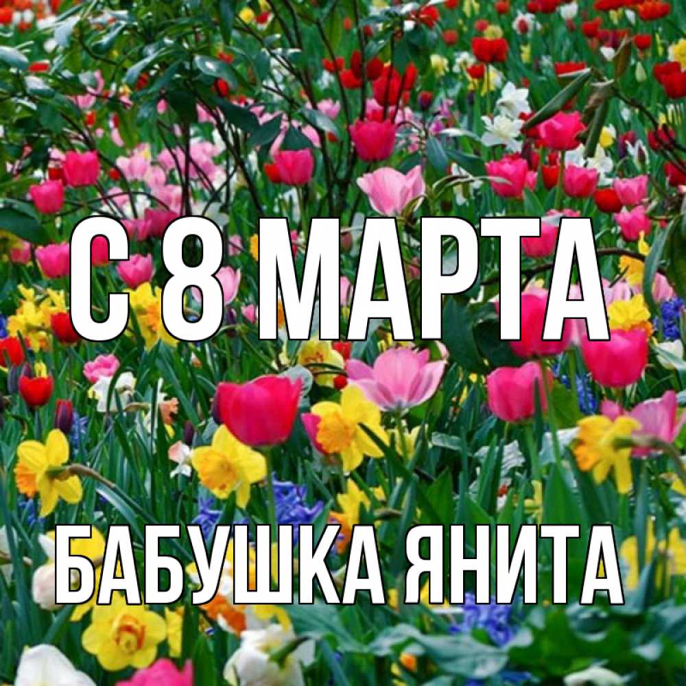 Открытка на каждый день с именем, Бабушка-Янита С 8 МАРТА с международным женским днем поздравления для женщины Прикольная открытка с пожеланием онлайн скачать бесплатно 