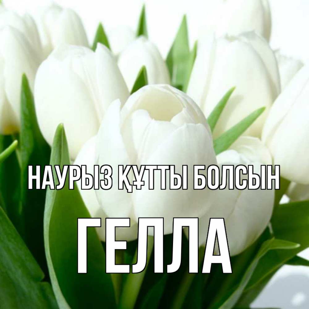 Открытка на каждый день с именем, Гелла Наурыз құтты болсын цветы Прикольная открытка с пожеланием онлайн скачать бесплатно 