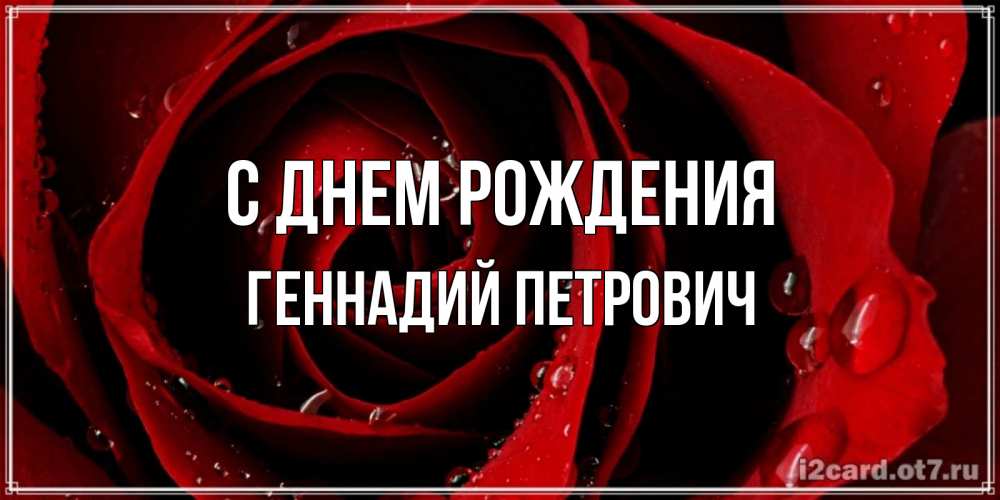 Открытка на каждый день с именем, Геннадий-Петрович С днем рождения крупная бордовая роза Прикольная открытка с пожеланием онлайн скачать бесплатно 