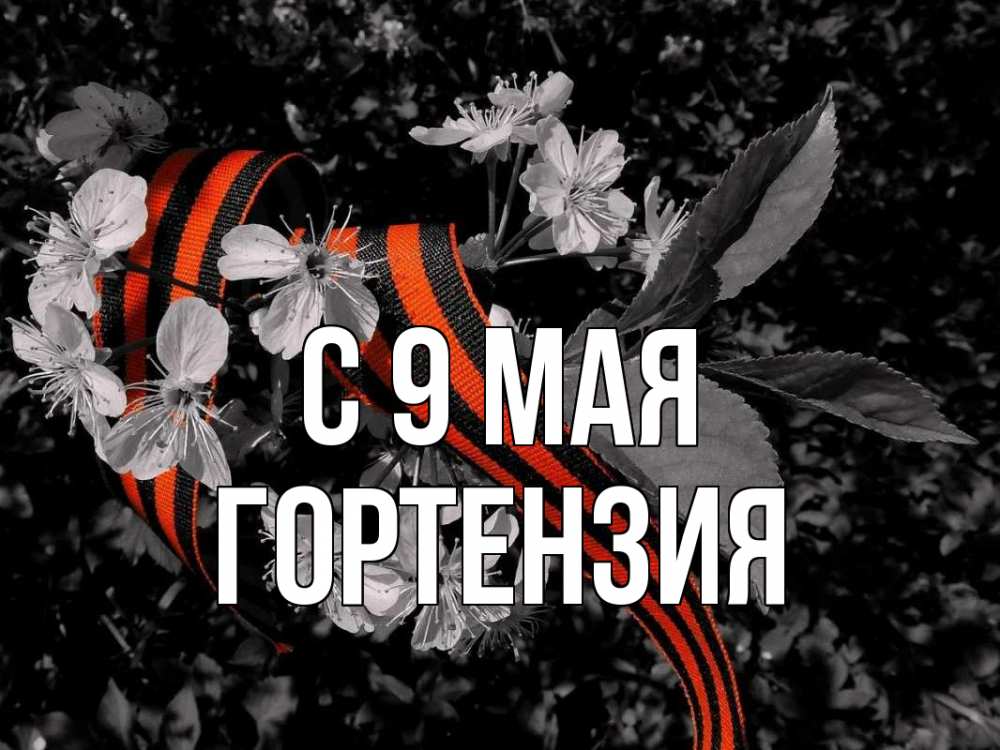 Открытка на каждый день с именем, Гортензия С 9 мая 9 мая Прикольная открытка с пожеланием онлайн скачать бесплатно 