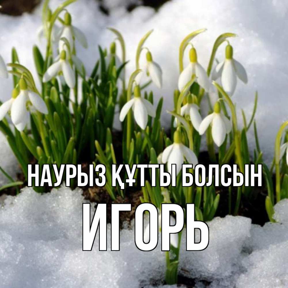Открытка на каждый день с именем, Игорь Наурыз құтты болсын цветы весенние Прикольная открытка с пожеланием онлайн скачать бесплатно 