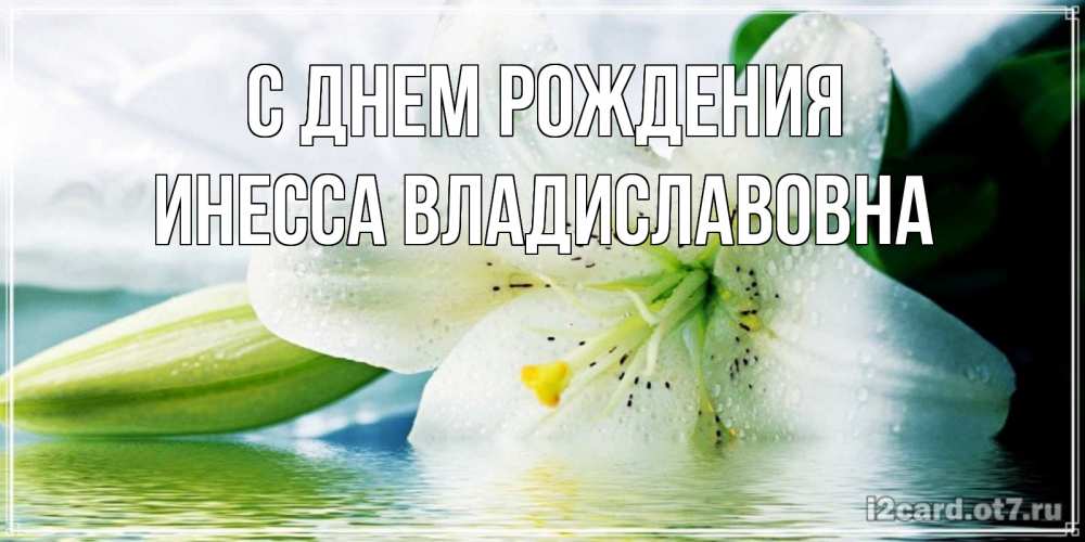 Открытка на каждый день с именем, Инесса-Владиславовна С днем рождения лилия на открытке ко дню рождения Прикольная открытка с пожеланием онлайн скачать бесплатно 