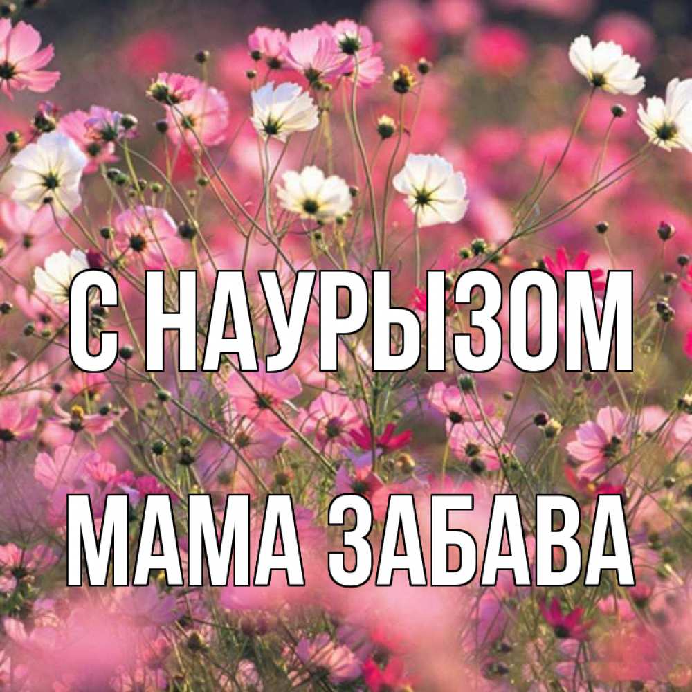 Открытка на каждый день с именем, Мама-Забава С наурызом красиво 1 Прикольная открытка с пожеланием онлайн скачать бесплатно 