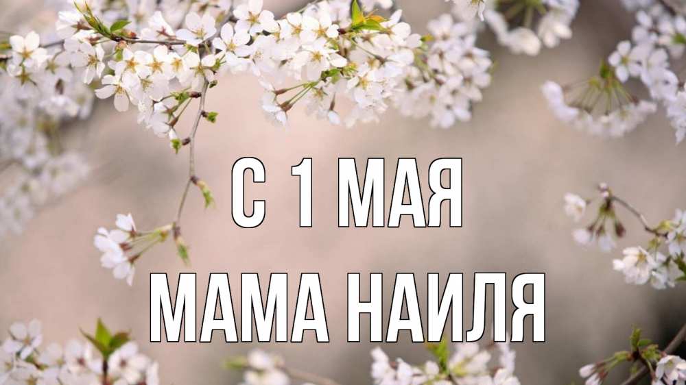 Открытка на каждый день с именем, Мама-Наиля С 1 мая С 1 мая Прикольная открытка с пожеланием онлайн скачать бесплатно 