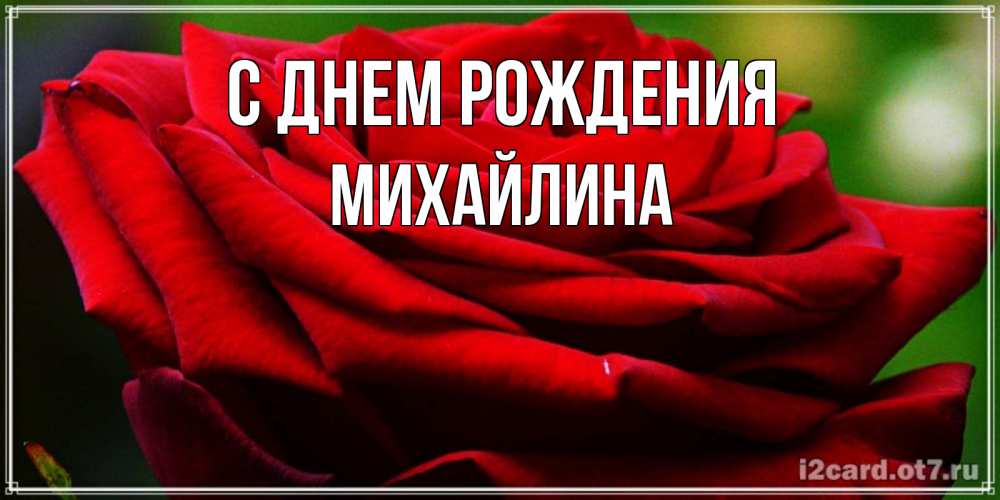 Открытка на каждый день с именем, Михайлина С днем рождения розочка очень красивая Прикольная открытка с пожеланием онлайн скачать бесплатно 