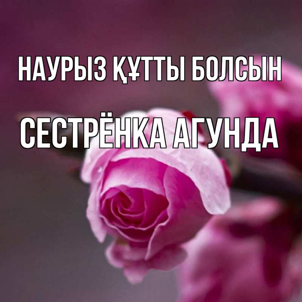 Открытка на каждый день с именем, Сестрёнка-Агунда Наурыз құтты болсын весна Прикольная открытка с пожеланием онлайн скачать бесплатно 