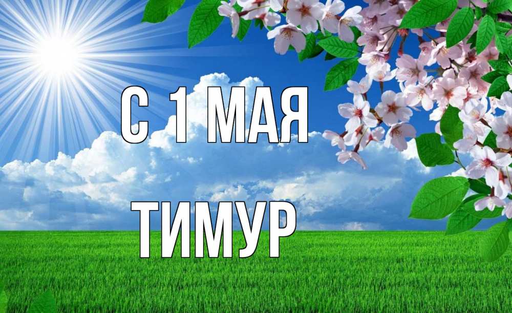 Открытка на каждый день с именем, Тимур С 1 мая С 1 мая Прикольная открытка с пожеланием онлайн скачать бесплатно 