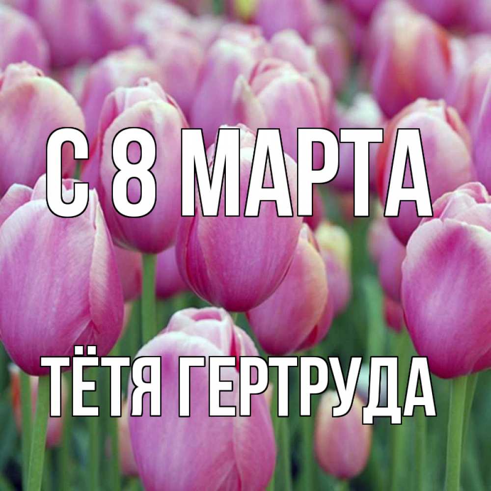 Открытка на каждый день с именем, Тётя-Гертруда С 8 МАРТА на международный женский день 3 Прикольная открытка с пожеланием онлайн скачать бесплатно 
