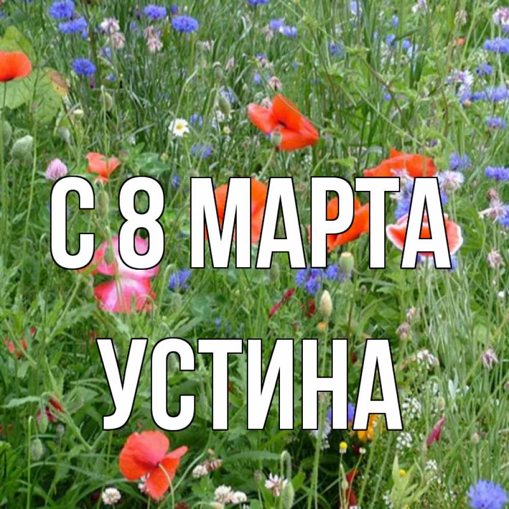 Открытка на каждый день с именем, Устина С 8 МАРТА международный женский день 4 Прикольная открытка с пожеланием онлайн скачать бесплатно 