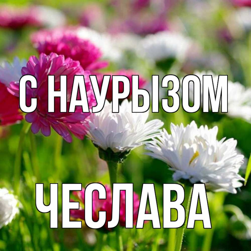 Открытка на каждый день с именем, Чеслава С наурызом праздник весны наурыз красота Прикольная открытка с пожеланием онлайн скачать бесплатно 