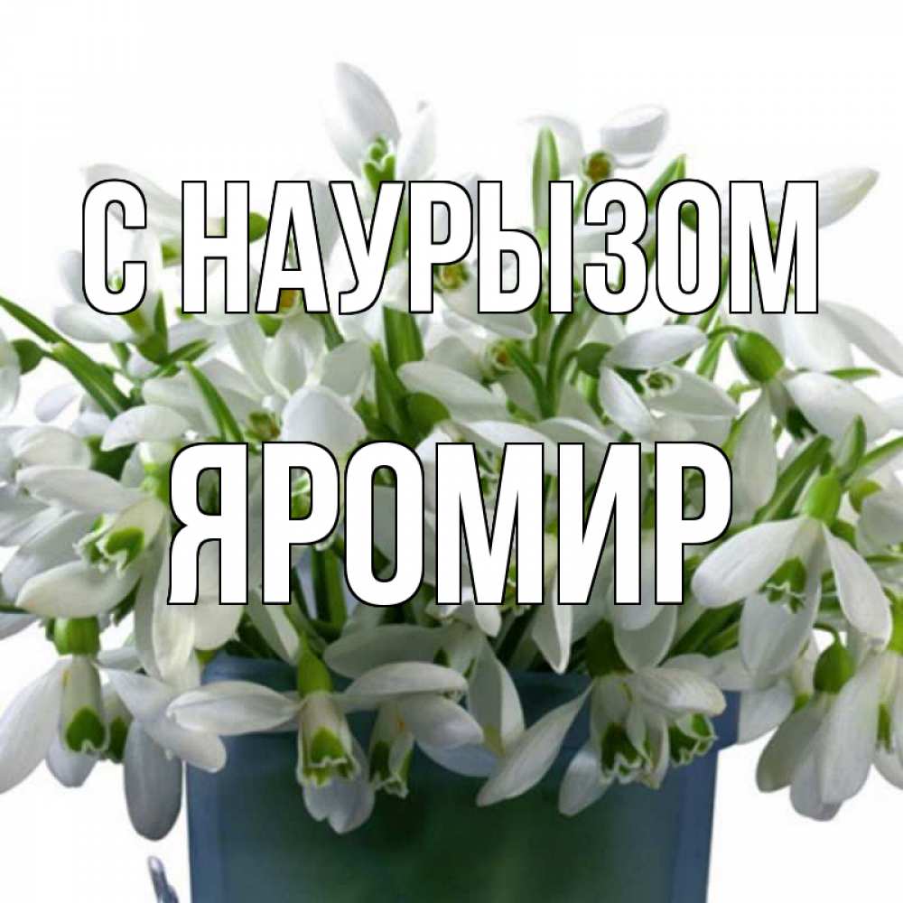 Открытка на каждый день с именем, Яромир С наурызом цветы к наурызу новый год в Казахстане Прикольная открытка с пожеланием онлайн скачать бесплатно 