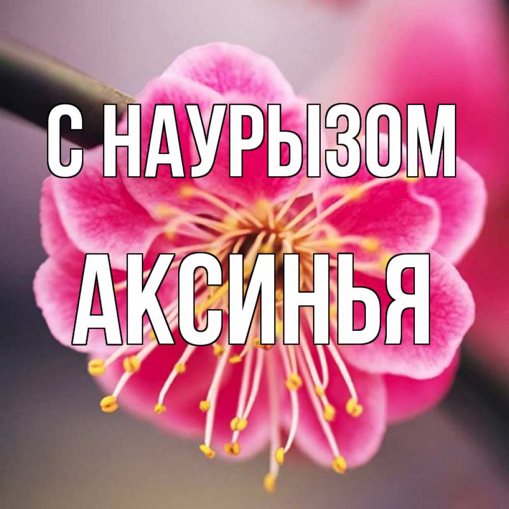 Открытка на каждый день с именем, Аксинья С наурызом цветы Прикольная открытка с пожеланием онлайн скачать бесплатно 
