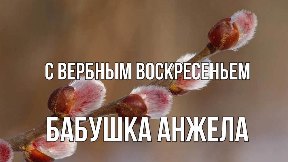 Открытка на каждый день с именем, Бабушка-Анжела С вербным воскресеньем верба Прикольная открытка с пожеланием онлайн скачать бесплатно 