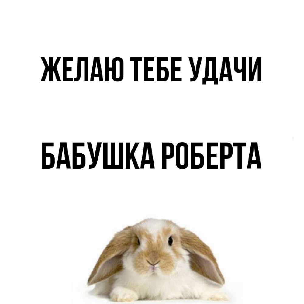 Открытка на каждый день с именем, Бабушка-Роберта Желаю тебе удачи открытки с произвольным текстом который можно вставить в открытку и создать ее самостоятельно бесплатно онлайн Прикольная открытка с пожеланием онлайн скачать бесплатно 