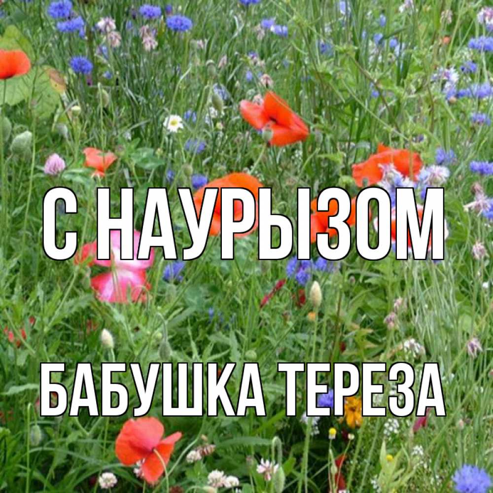 Открытка на каждый день с именем, Бабушка-Тереза С наурызом праздник весны наурыз супер открытка Прикольная открытка с пожеланием онлайн скачать бесплатно 