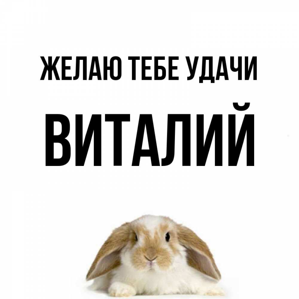Открытка на каждый день с именем, Виталий Желаю тебе удачи открытки с произвольным текстом который можно вставить в открытку и создать ее самостоятельно бесплатно онлайн Прикольная открытка с пожеланием онлайн скачать бесплатно 