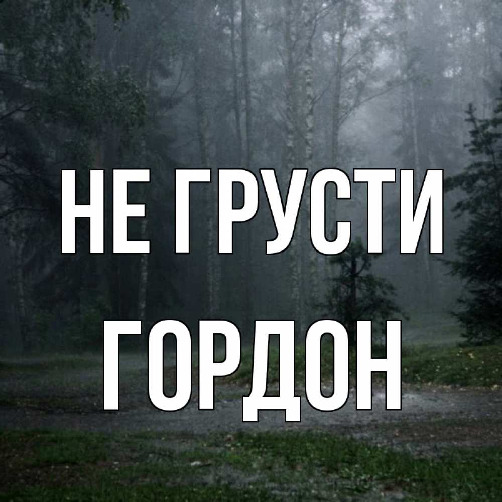 Открытка на каждый день с именем, Гордон Не грусти осень Прикольная открытка с пожеланием онлайн скачать бесплатно 
