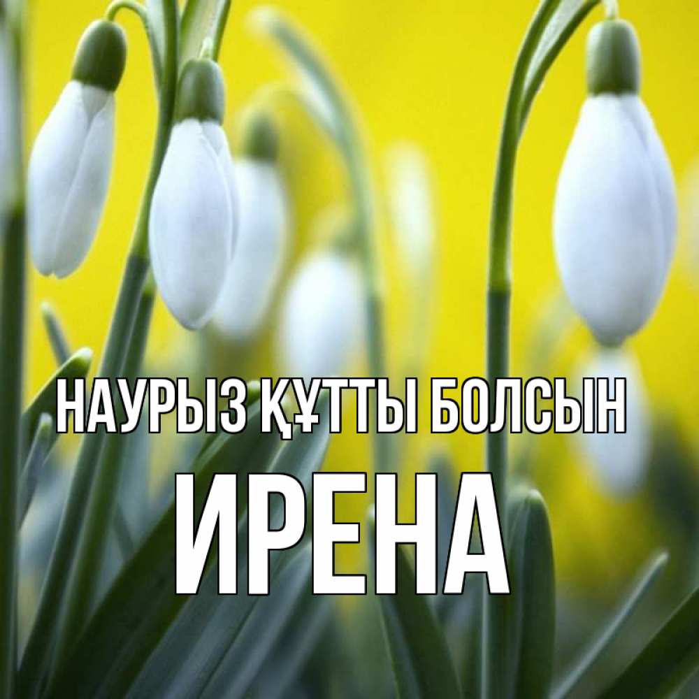 Открытка на каждый день с именем, Ирена Наурыз құтты болсын весенние цветы Прикольная открытка с пожеланием онлайн скачать бесплатно 