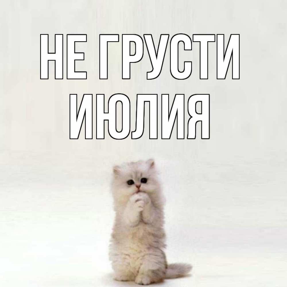 Открытка на каждый день с именем, Июлия Не грусти грустный кот Прикольная открытка с пожеланием онлайн скачать бесплатно 