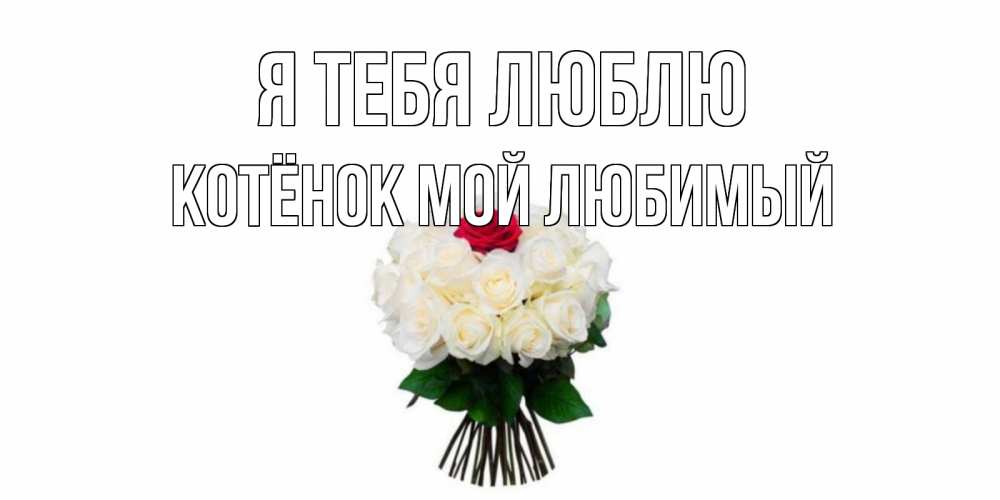 Открытка на каждый день с именем, Котёнок-мой-любимый Я тебя люблю единственная Прикольная открытка с пожеланием онлайн скачать бесплатно 