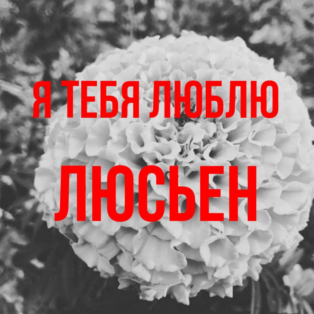 Открытка на каждый день с именем, Люсьен Я тебя люблю подпись Прикольная открытка с пожеланием онлайн скачать бесплатно 