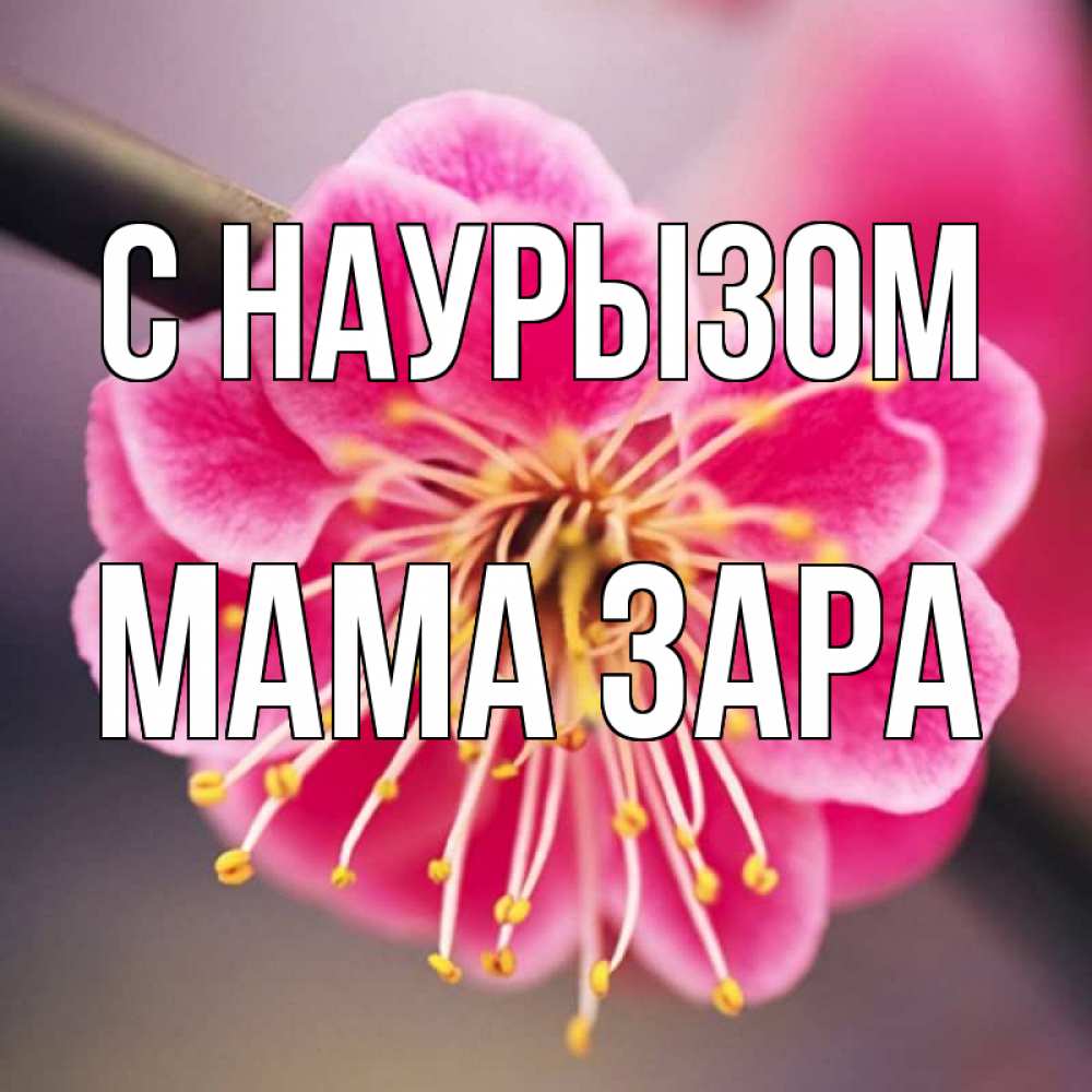 Открытка на каждый день с именем, Мама-Зара С наурызом цветы Прикольная открытка с пожеланием онлайн скачать бесплатно 