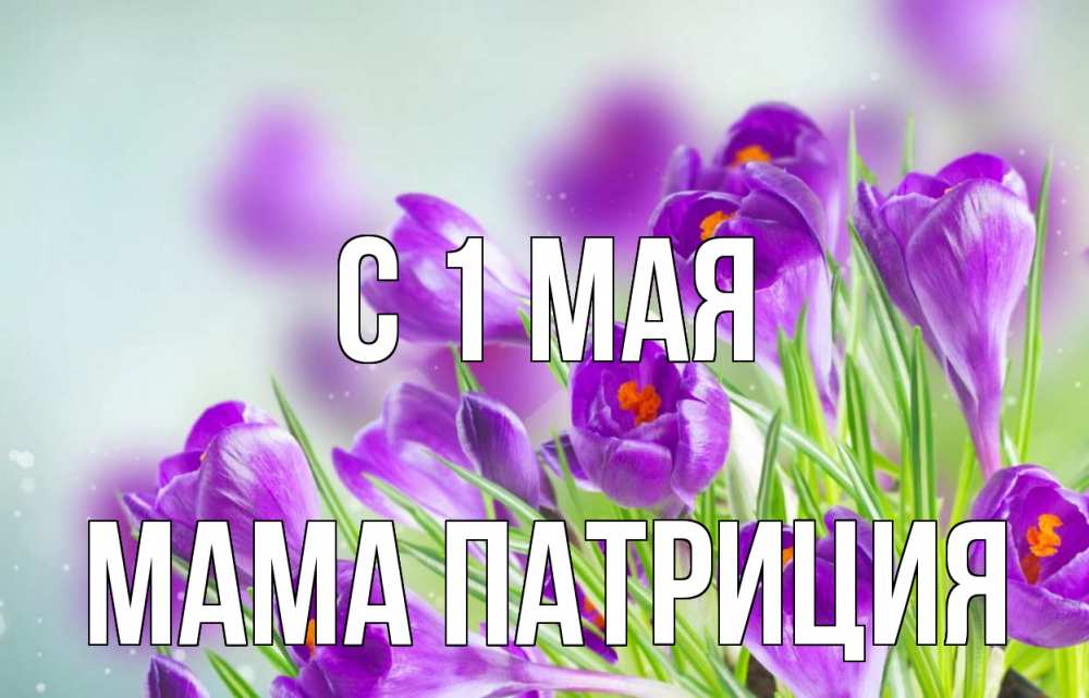 Открытка на каждый день с именем, Мама-Патриция С 1 мая 1 мая Прикольная открытка с пожеланием онлайн скачать бесплатно 