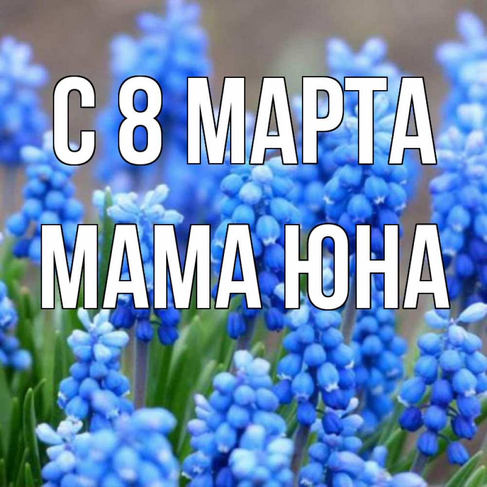 Открытка на каждый день с именем, Мама-Юна С 8 МАРТА Поздравительная открытка для женщин с цветами на праздничную дату Прикольная открытка с пожеланием онлайн скачать бесплатно 