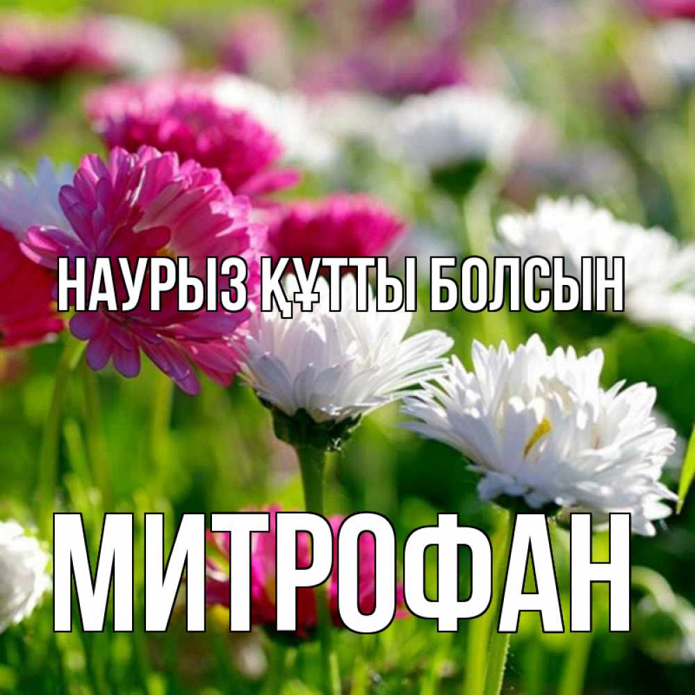 Открытка на каждый день с именем, Митрофан Наурыз құтты болсын наурыз Прикольная открытка с пожеланием онлайн скачать бесплатно 