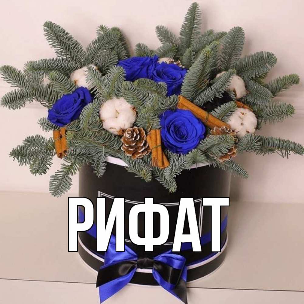 Открытка на каждый день с именем, Рифат Главная короче кто то загрузил эти шишки Прикольная открытка с пожеланием онлайн скачать бесплатно 