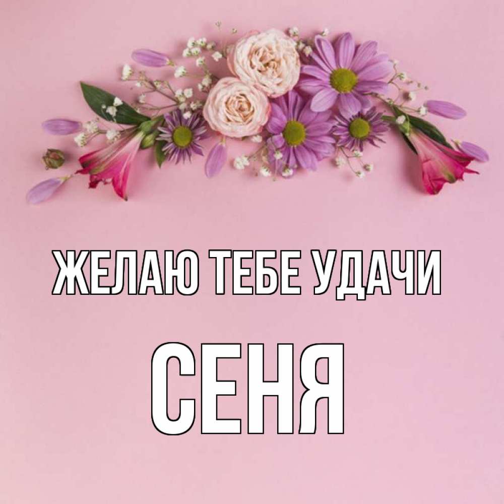 Открытка на каждый день с именем, Сеня Желаю тебе удачи розовый фон Прикольная открытка с пожеланием онлайн скачать бесплатно 