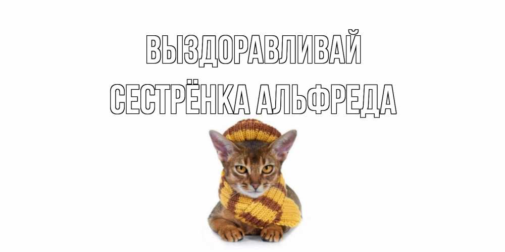 Открытка на каждый день с именем, Сестрёнка-Альфреда Выздоравливай родные не болейте Прикольная открытка с пожеланием онлайн скачать бесплатно 