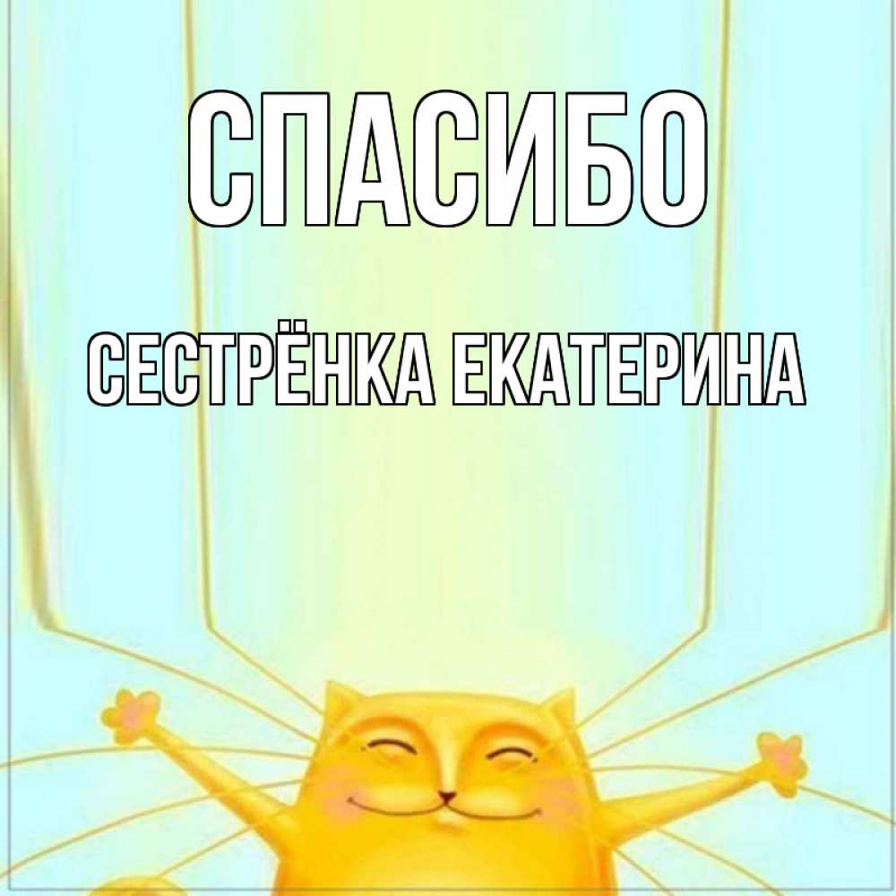 Открытка на каждый день с именем, Сестрёнка-Екатерина Спасибо кот с усами благодарит Прикольная открытка с пожеланием онлайн скачать бесплатно 