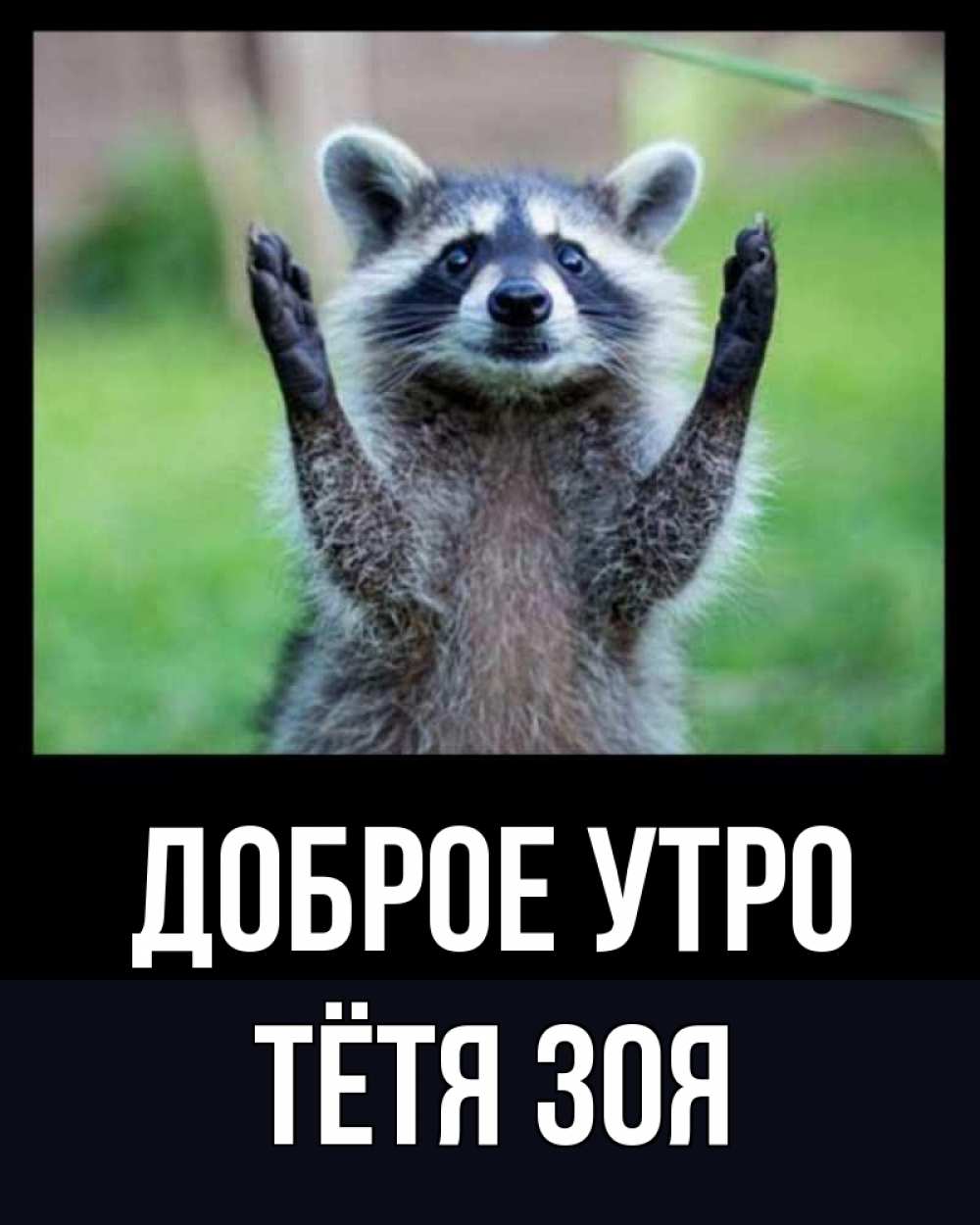 Открытка на каждый день с именем, Тётя-Зоя Доброе утро хорошее настроение утречком Прикольная открытка с пожеланием онлайн скачать бесплатно 