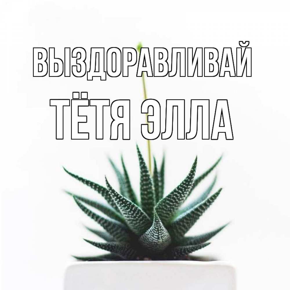 Открытка на каждый день с именем, Тётя-Элла Выздоравливай короче это непонятная колючка Прикольная открытка с пожеланием онлайн скачать бесплатно 