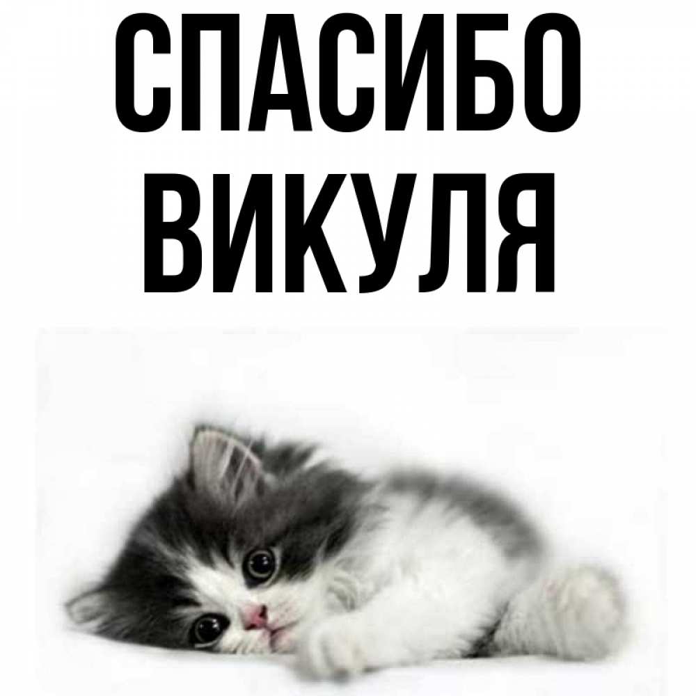Викуля картинки с именем
