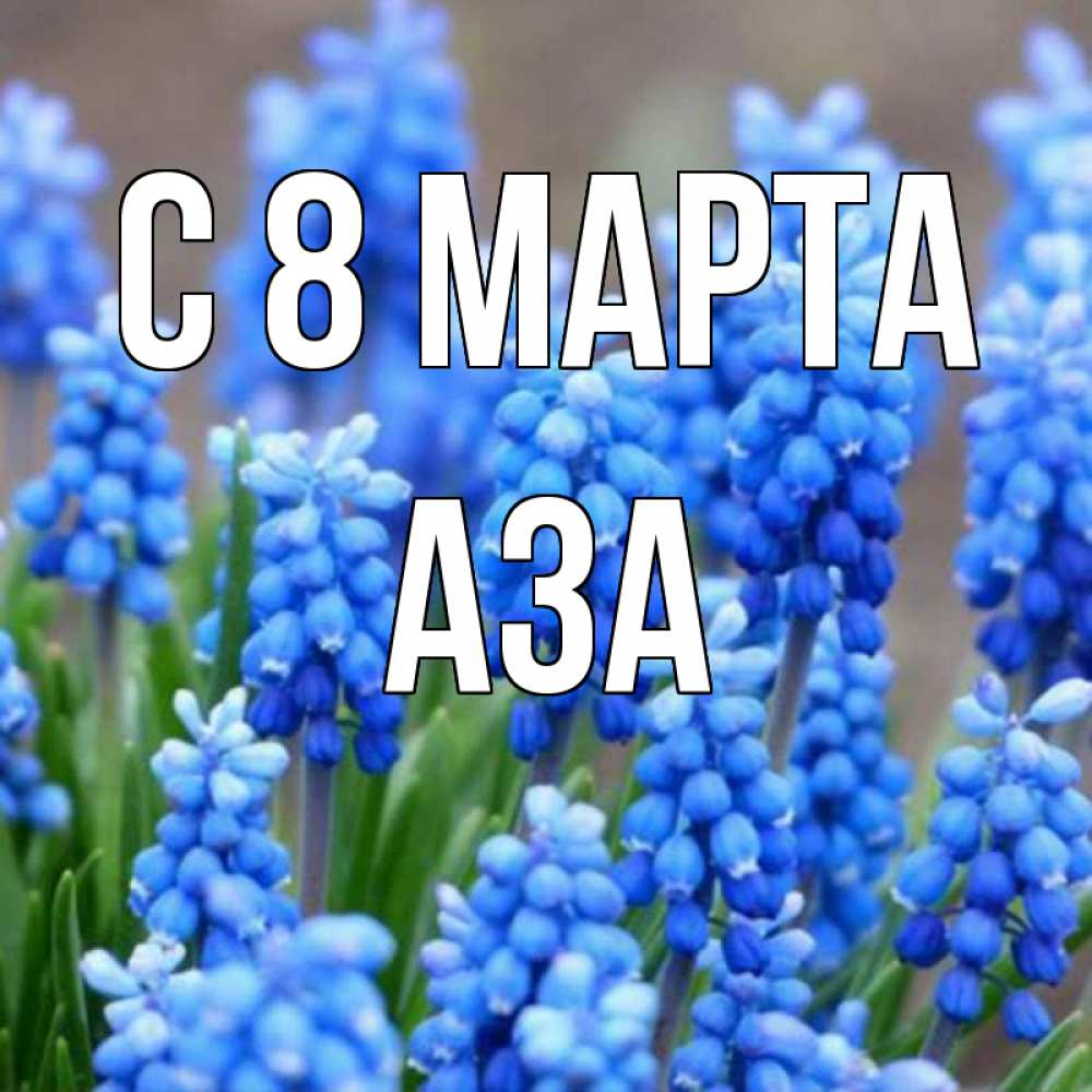 Открытка на каждый день с именем, Аза С 8 МАРТА Поздравительная открытка для женщин с цветами на праздничную дату Прикольная открытка с пожеланием онлайн скачать бесплатно 