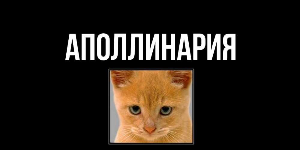 Открытка на каждый день с именем, Аполлинария Главная открытки рыжий котенок скучает по тебе Прикольная открытка с пожеланием онлайн скачать бесплатно 