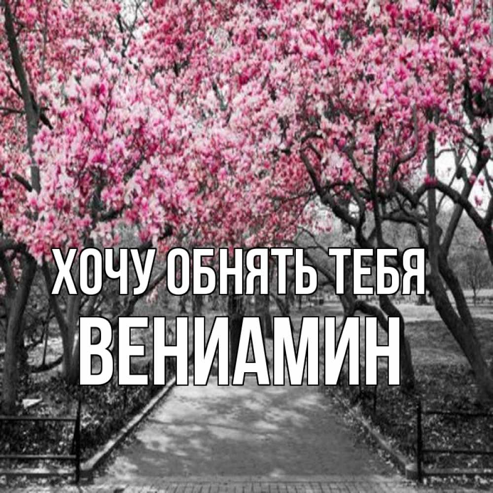 Открытка на каждый день с именем, Вениамин Хочу обнять тебя обработанное фото Прикольная открытка с пожеланием онлайн скачать бесплатно 