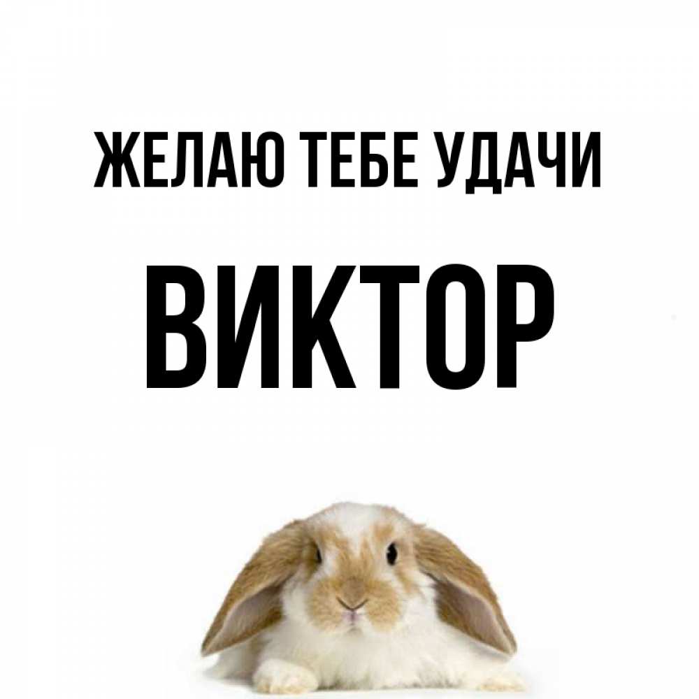 Открытка на каждый день с именем, Виктор Желаю тебе удачи открытки с произвольным текстом который можно вставить в открытку и создать ее самостоятельно бесплатно онлайн Прикольная открытка с пожеланием онлайн скачать бесплатно 