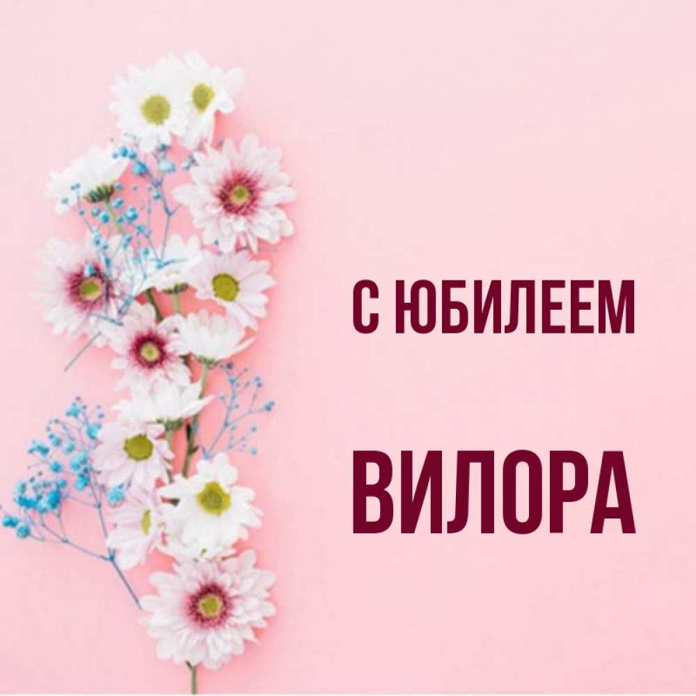 Открытка на каждый день с именем, Вилора С юбилеем Родная моя с днем рождения тебя картинка с цветами белыми и голубыми Прикольная открытка с пожеланием онлайн скачать бесплатно 
