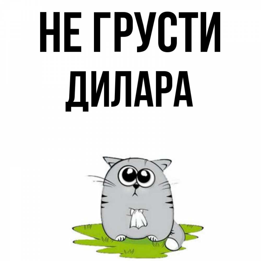 Открытка на каждый день с именем, Дилара Не грусти грустный котяра Прикольная открытка с пожеланием онлайн скачать бесплатно 