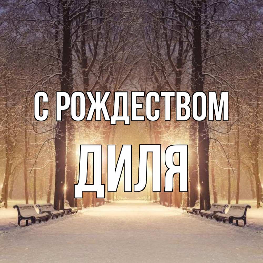 Открытка на каждый день с именем, Диля С рождеством зима, парк, фонарь, лес Прикольная открытка с пожеланием онлайн скачать бесплатно 