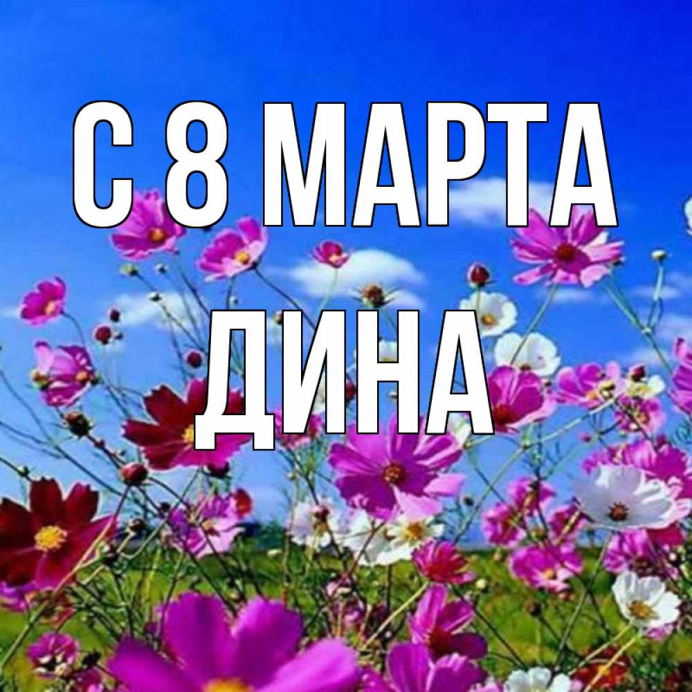 Открытка на каждый день с именем, Дина С 8 МАРТА цветы Прикольная открытка с пожеланием онлайн скачать бесплатно 