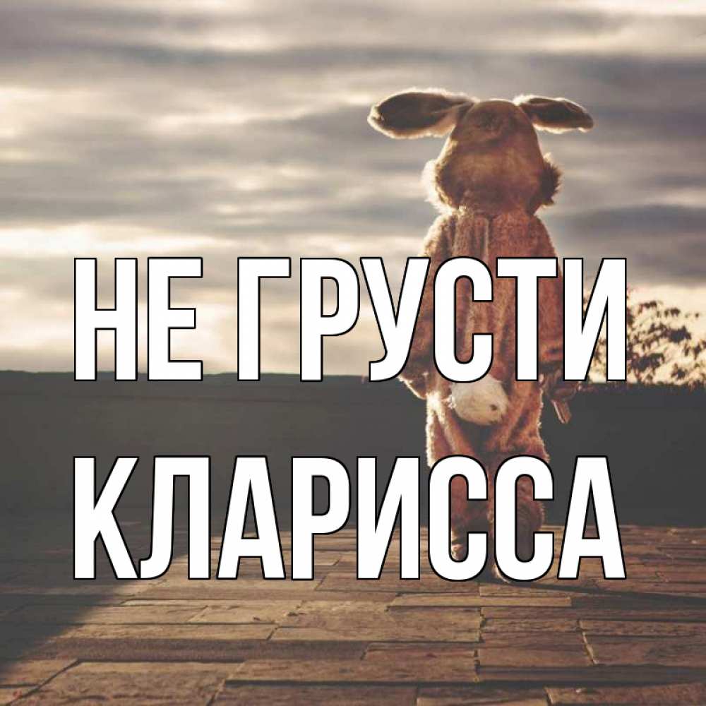 Открытка на каждый день с именем, Кларисса Не грусти со спины Прикольная открытка с пожеланием онлайн скачать бесплатно 