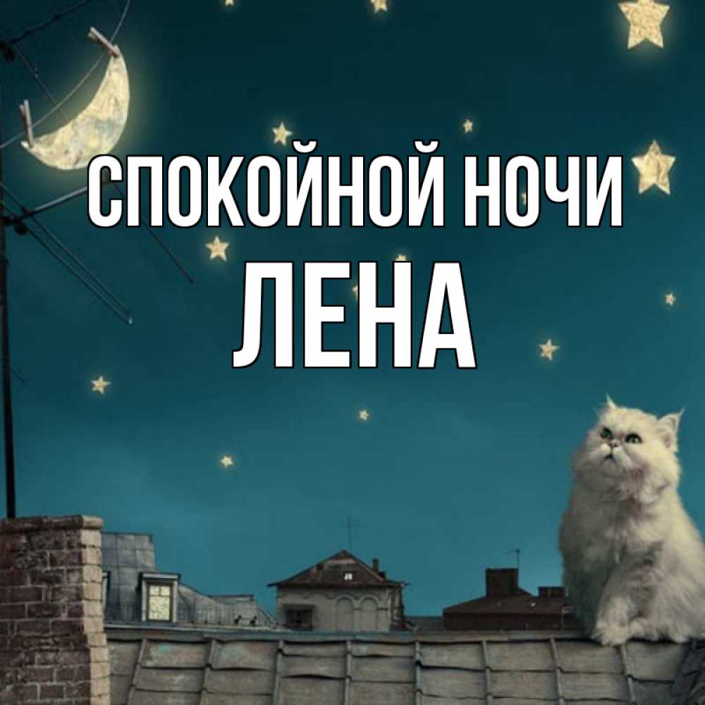 Открытка на каждый день с именем, ЛЕНА Спокойной ночи белый кот сидит на крыше Прикольная открытка с пожеланием онлайн скачать бесплатно 